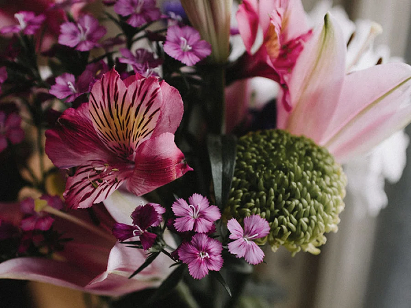 Mother's Day gift guide