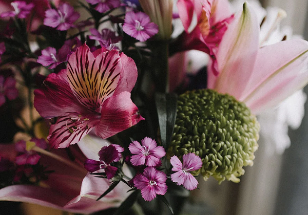 Mother's Day gift guide